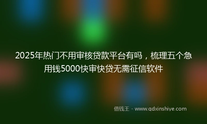 2025年热门不用审核贷款平台有吗，梳理五个急用钱5000快审快贷无需征信软件
