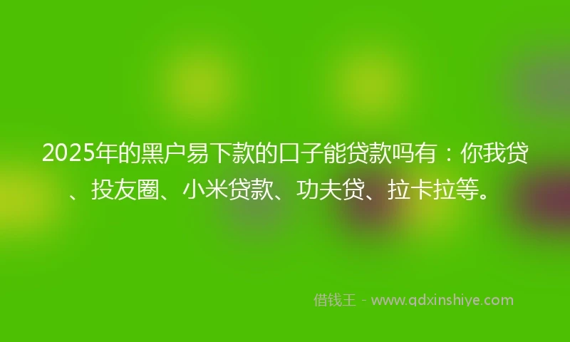2025年的黑户易下款的口子能贷款吗有:你我贷、投友圈、小米贷款、功夫贷、拉卡拉等。