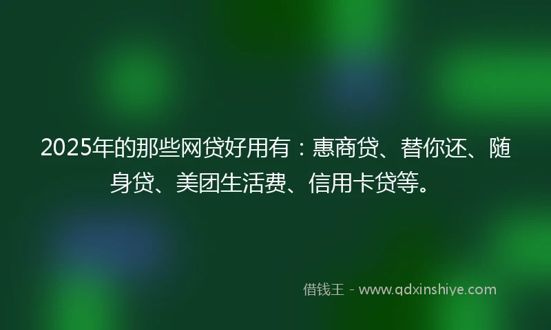 2025年的那些网贷好用有：惠商贷、替你还、随身贷、美团生活费、信用卡贷等。