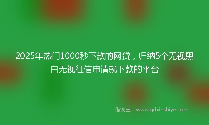 2025年热门1000秒下款的网贷，归纳5个无视黑白无视征信申请就下款的平台