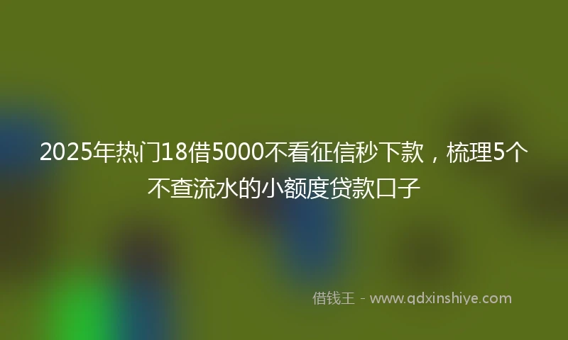 2025年热门18借5000不看征信秒下款，梳理5个不查流水的小额度贷款口子