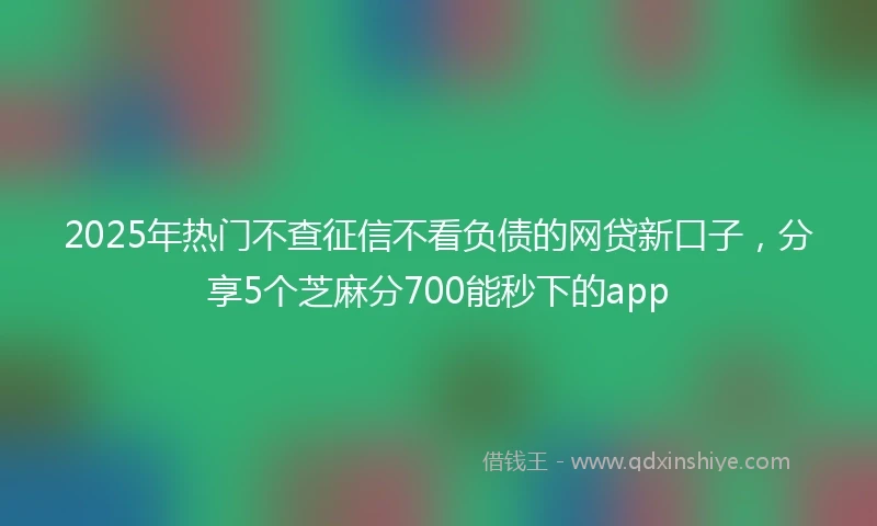 2025年热门不查征信不看负债的网贷新口子，分享5个芝麻分700能秒下的app