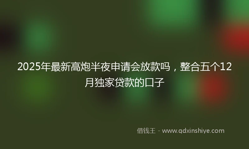 2025年最新高炮半夜申请会放款吗,整合五个12月独家贷款的口子