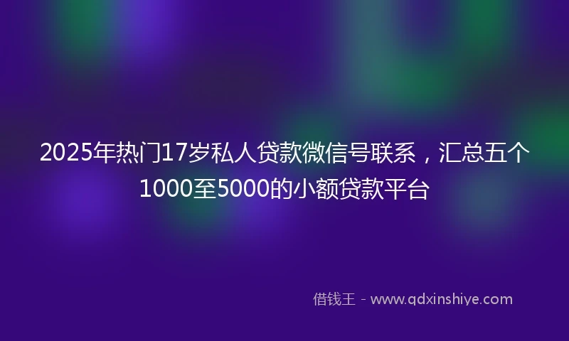 2025年热门17岁私人贷款微信号联系，汇总五个1000至5000的小额贷款平台