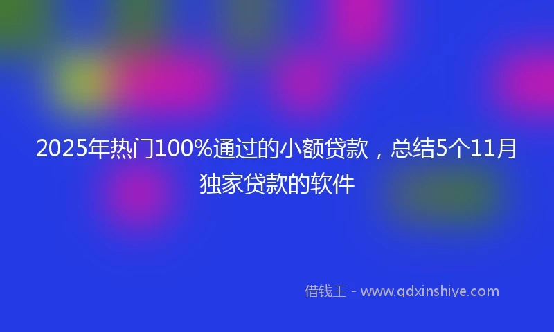 2025年热门100%通过的小额贷款，总结5个11月独家贷款的软件