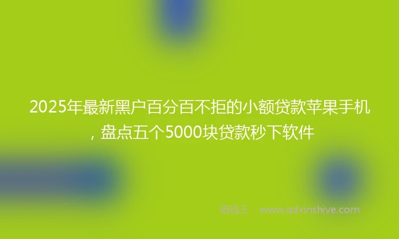 2025年最新黑户百分百不拒的小额贷款苹果手机，盘点五个5000块贷款秒下软件