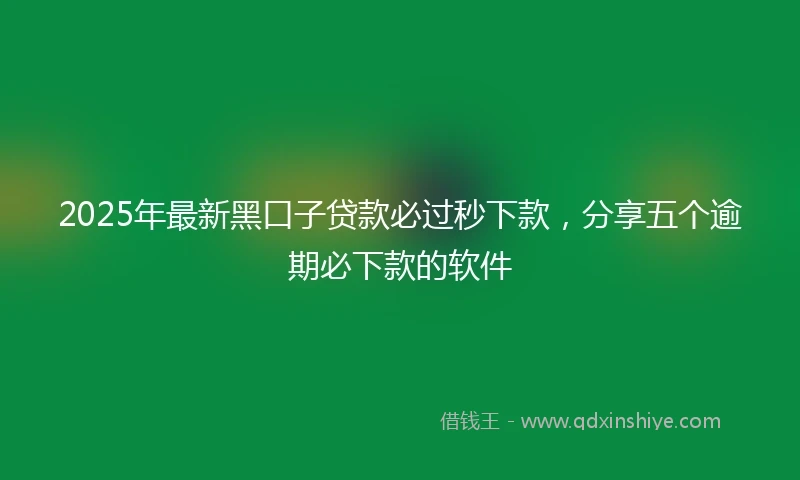 2025年最新黑口子贷款必过秒下款，分享五个逾期必下款的软件