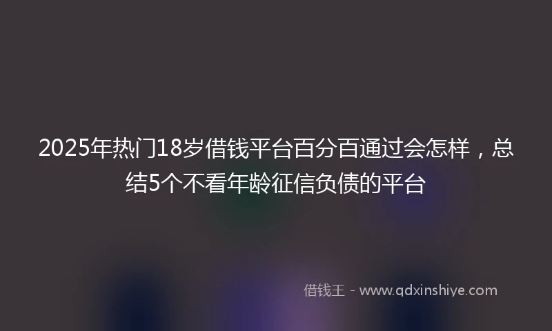 2025年热门18岁借钱平台百分百通过会怎样，总结5个不看年龄征信负债的平台