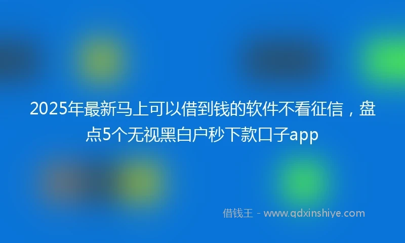 2025年最新马上可以借到钱的软件不看征信，盘点5个无视黑白户秒下款口子app