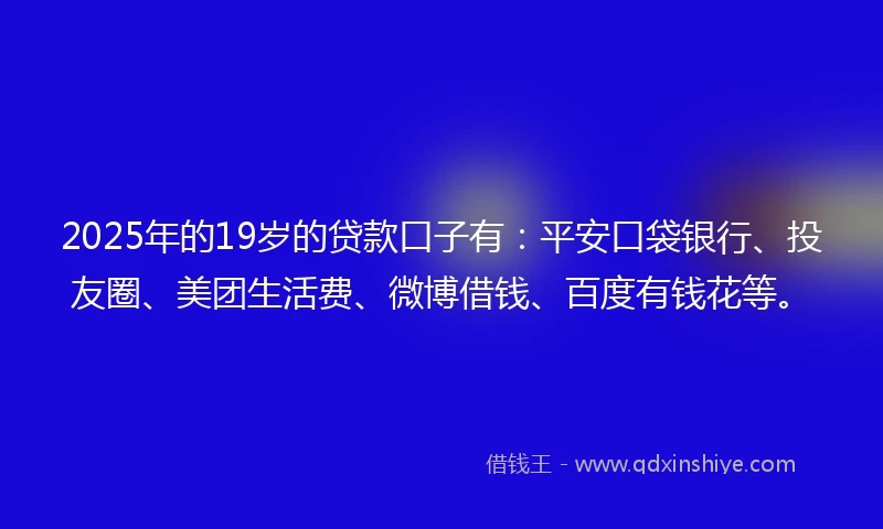 2025年的19岁的贷款口子有：平安口袋银行、投友圈、美团生活费、微博借钱、百度有钱花等。