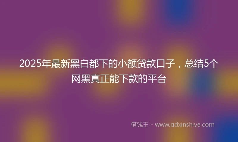 2025年最新黑白都下的小额贷款口子，总结5个网黑真正能下款的平台