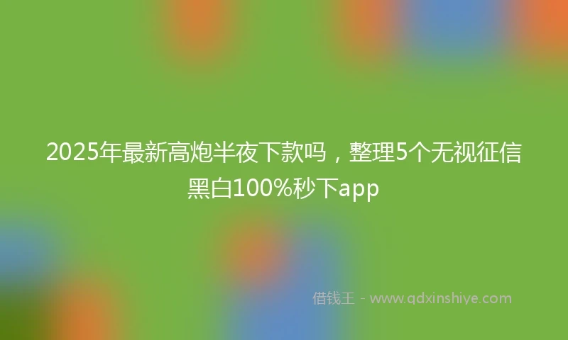 2025年最新高炮半夜下款吗，整理5个无视征信黑白100%秒下app