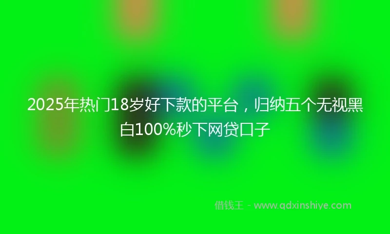 2025年热门18岁好下款的平台,归纳五个无视黑白100%秒下网贷口子