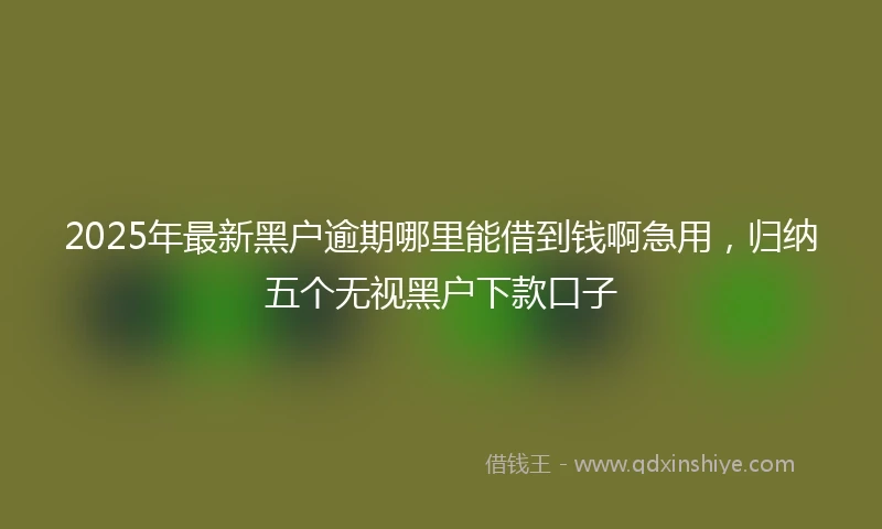 2025年最新黑户逾期哪里能借到钱啊急用，归纳五个无视黑户下款口子