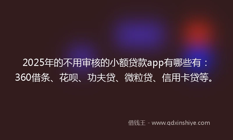2025年的不用审核的小额贷款app有哪些有：360借条、花呗、功夫贷、微粒贷、信用卡贷等。