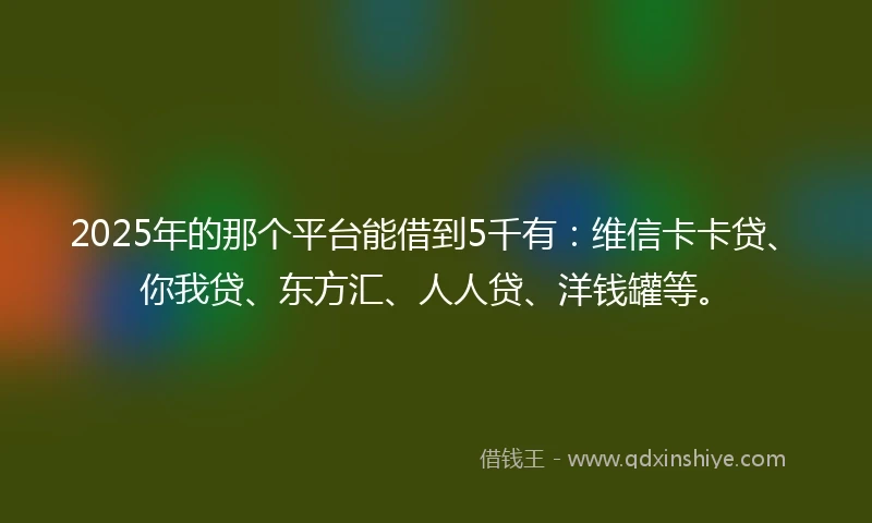 2025年的那个平台能借到5千有：维信卡卡贷、你我贷、东方汇、人人贷、洋钱罐等。