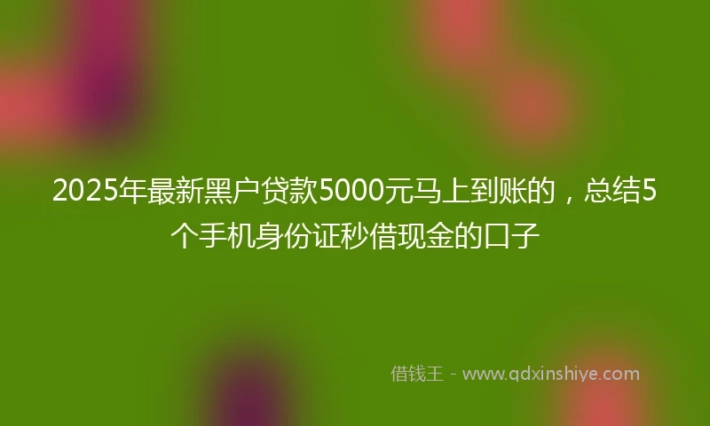 2025年最新黑户贷款5000元马上到账的，总结5个手机身份证秒借现金的口子