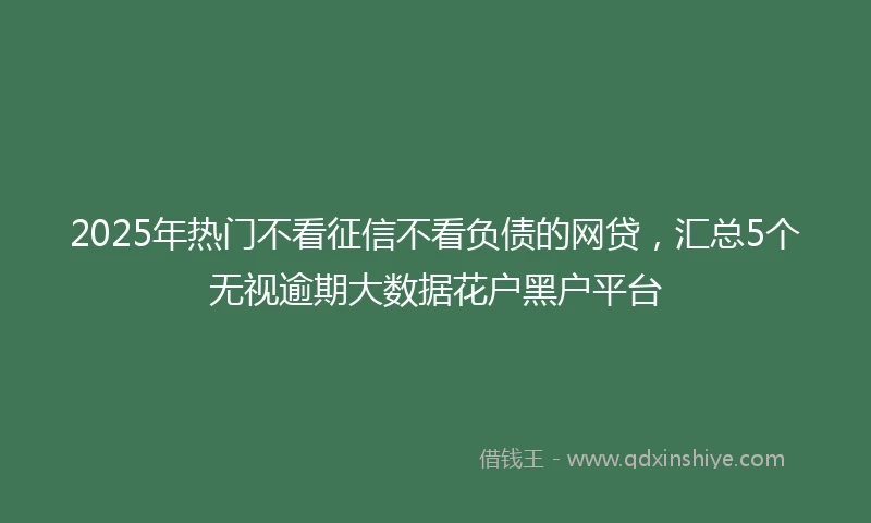 2025年热门不看征信不看负债的网贷，汇总5个无视逾期大数据花户黑户平台