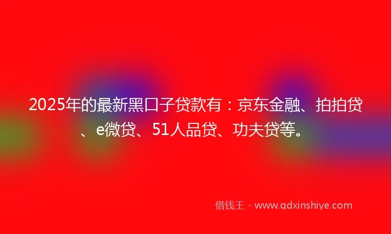 2025年的最新黑口子贷款有：京东金融、拍拍贷、e微贷、51人品贷、功夫贷等。