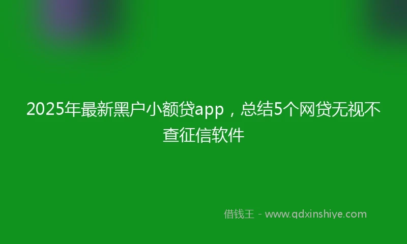 2025年最新黑户小额贷app,总结5个网贷无视不查征信软件