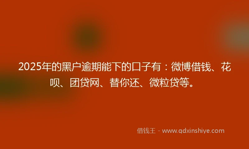 2025年的黑户逾期能下的口子有：微博借钱、花呗、团贷网、替你还、微粒贷等。