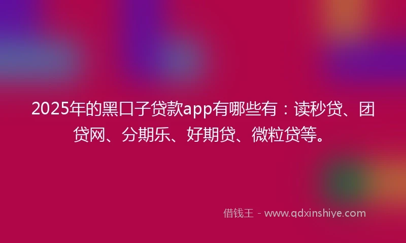 2025年的黑口子贷款app有哪些有：读秒贷、团贷网、分期乐、好期贷、微粒贷等。