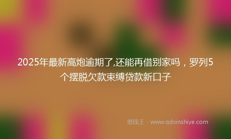 2025年最新高炮逾期了,还能再借别家吗，罗列5个摆脱欠款束缚贷款新口子