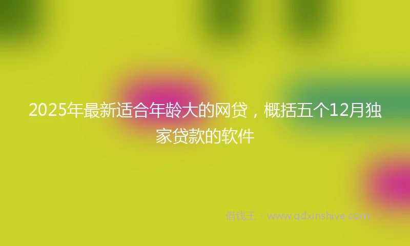 2025年最新适合年龄大的网贷,概括五个12月独家贷款的软件