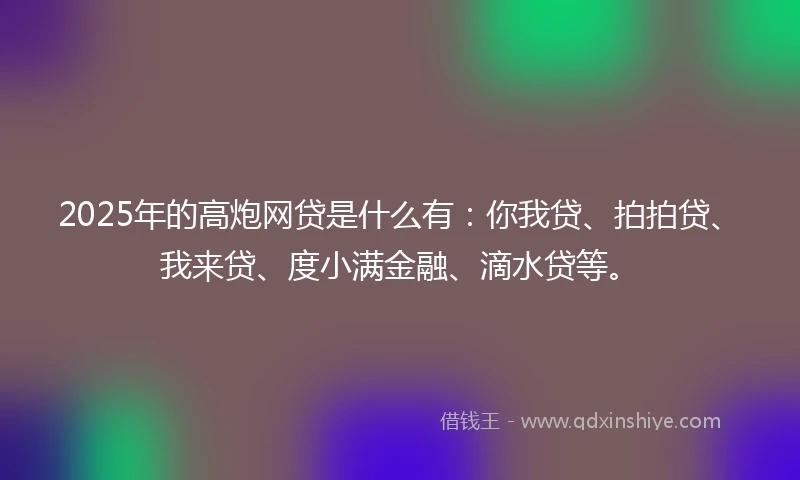 2025年的高炮网贷是什么有:你我贷、拍拍贷、我来贷、度小满金融、滴水贷等。