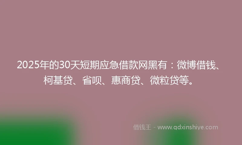 2025年的30天短期应急借款网黑有：微博借钱、柯基贷、省呗、惠商贷、微粒贷等。