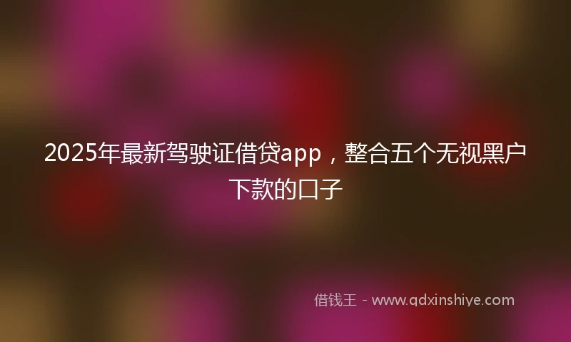 2025年最新驾驶证借贷app，整合五个无视黑户下款的口子