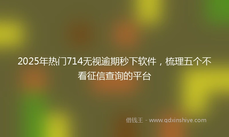 2025年热门714无视逾期秒下软件，梳理五个不看征信查询的平台