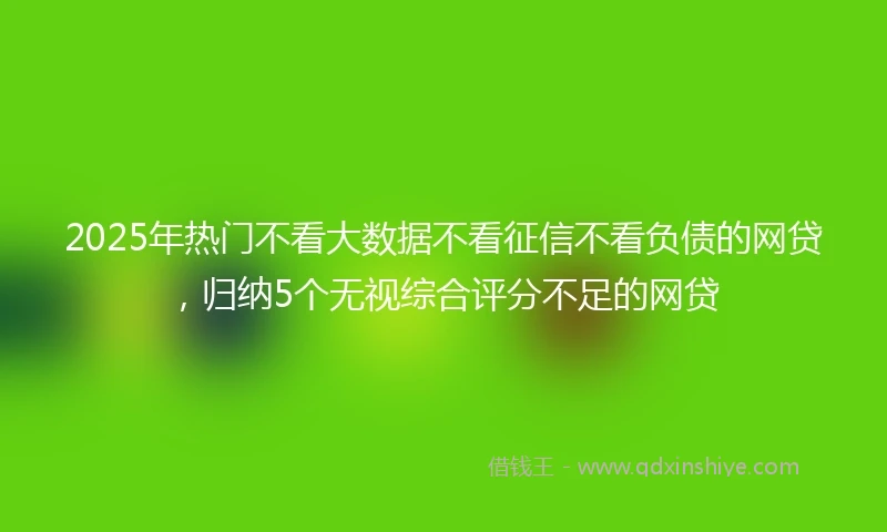 2025年热门不看大数据不看征信不看负债的网贷，归纳5个无视综合评分不足的网贷