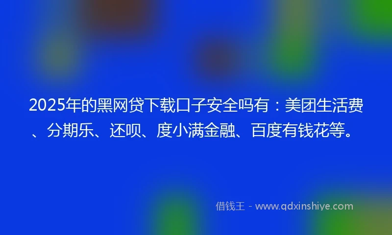 2025年的黑网贷下载口子安全吗有：美团生活费、分期乐、还呗、度小满金融、百度有钱花等。