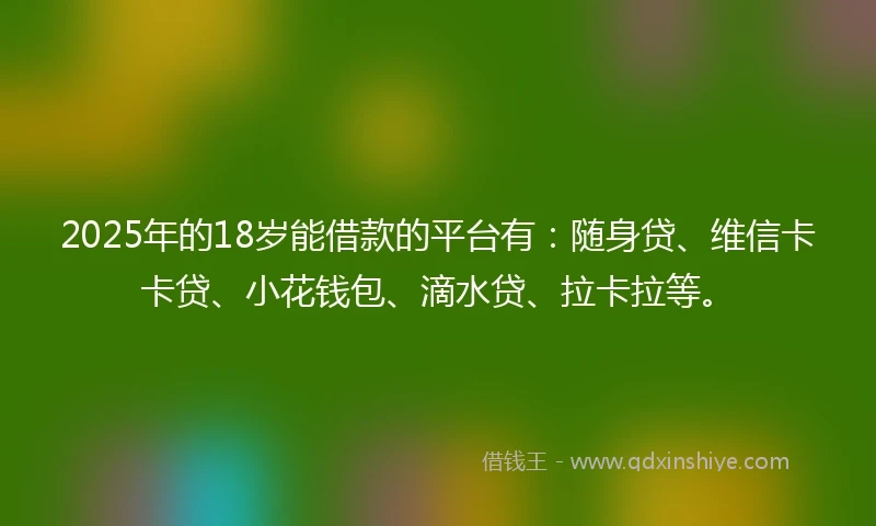2025年的18岁能借款的平台有：随身贷、维信卡卡贷、小花钱包、滴水贷、拉卡拉等。