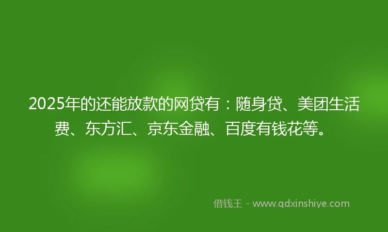 2025年的还能放款的网贷有：随身贷、美团生活费、东方汇、京东金融、百度有钱花等。