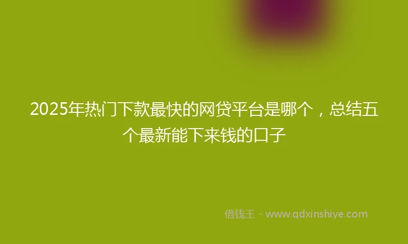 2025年热门下款最快的网贷平台是哪个,总结五个最新能下来钱的口子