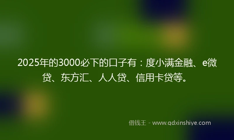 2025年的3000必下的口子有:度小满金融、e微贷、东方汇、人人贷、信用卡贷等。