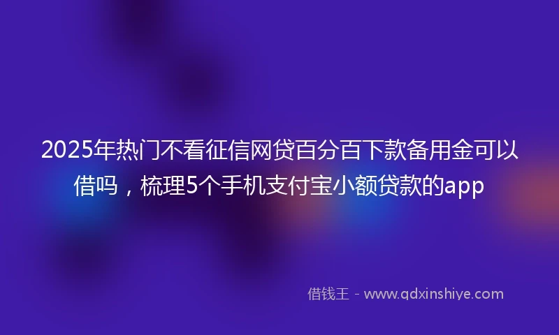 2025年热门不看征信网贷百分百下款备用金可以借吗,梳理5个手机支付宝小额贷款的app