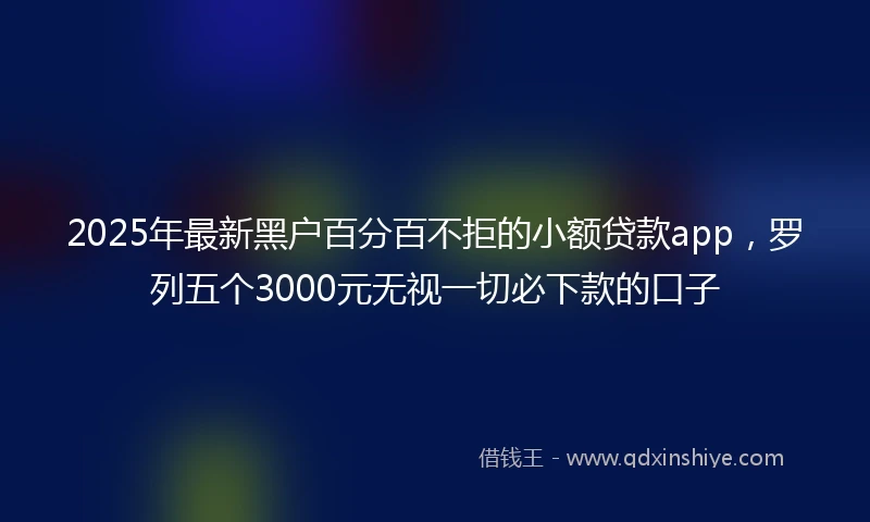 2025年最新黑户百分百不拒的小额贷款app，罗列五个3000元无视一切必下款的口子
