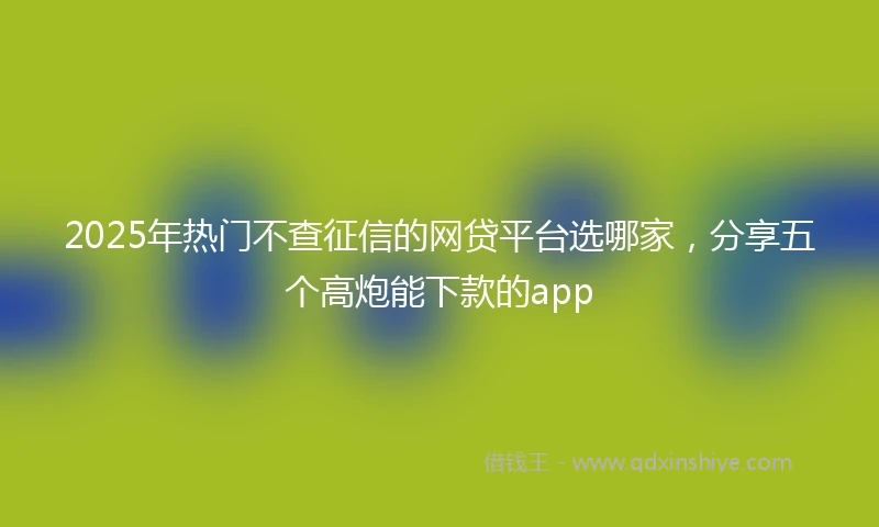 2025年热门不查征信的网贷平台选哪家，分享五个高炮能下款的app