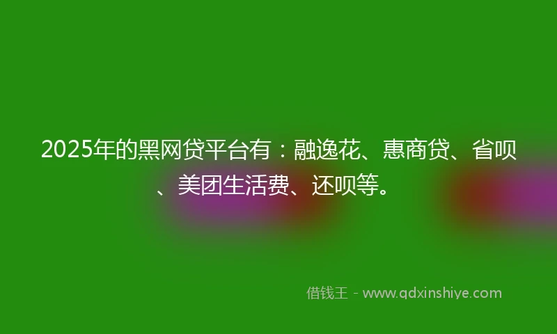 2025年的黑网贷平台有：融逸花、惠商贷、省呗、美团生活费、还呗等。