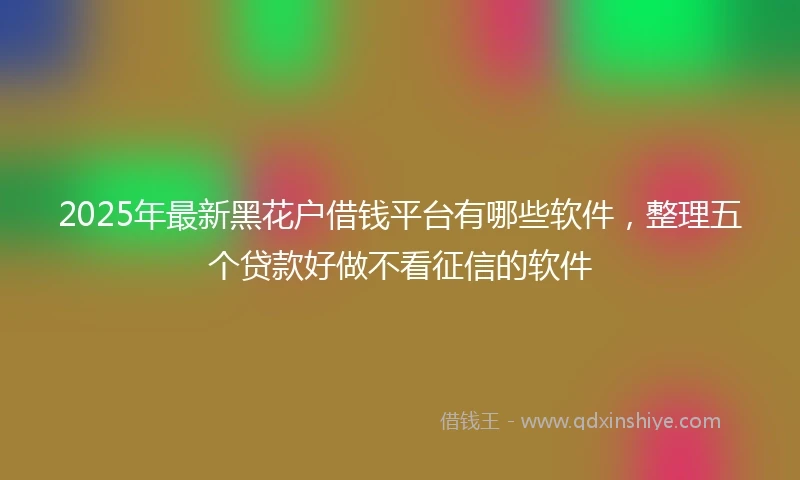 2025年最新黑花户借钱平台有哪些软件，整理五个贷款好做不看征信的软件