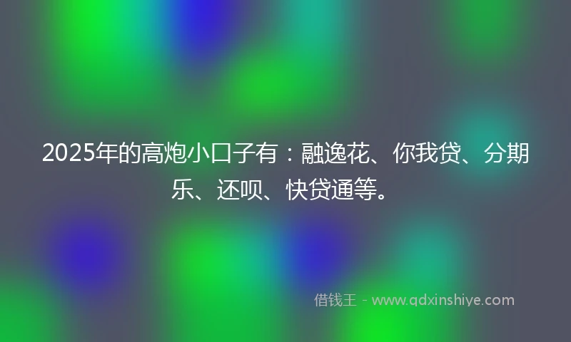 2025年的高炮小口子有：融逸花、你我贷、分期乐、还呗、快贷通等。