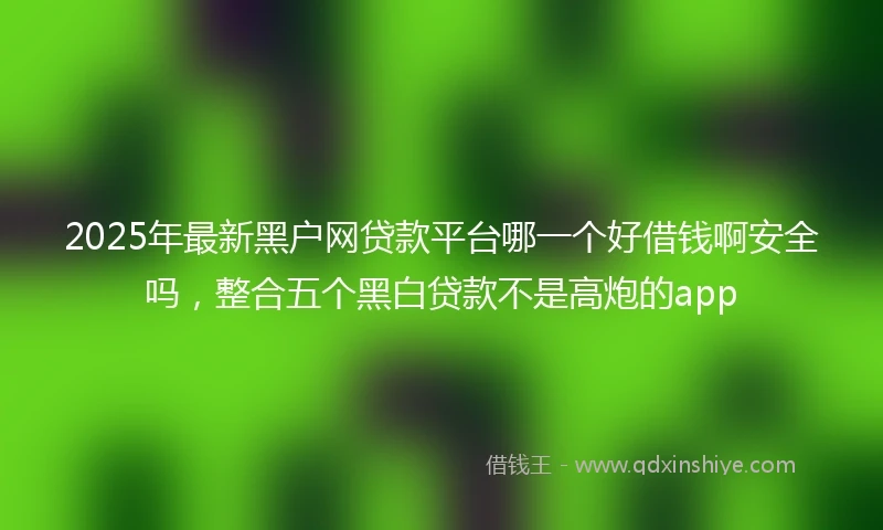 2025年最新黑户网贷款平台哪一个好借钱啊安全吗，整合五个黑白贷款不是高炮的app