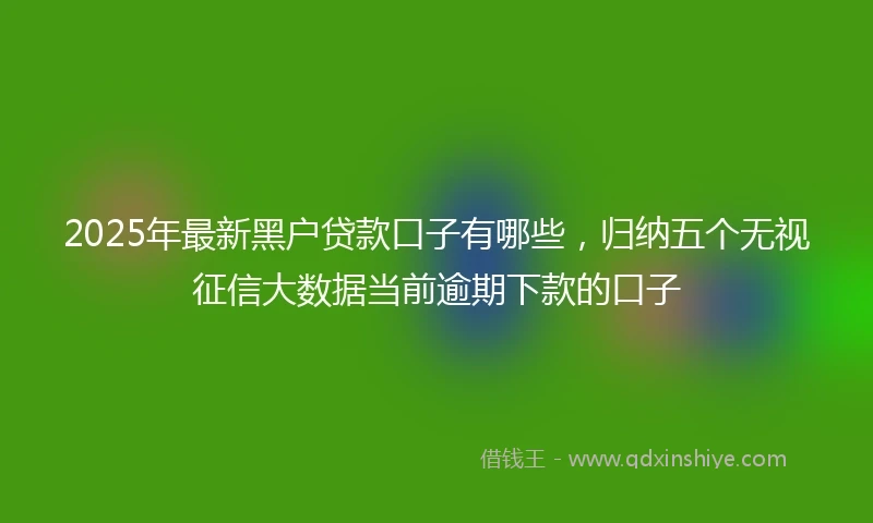 2025年最新黑户贷款口子有哪些，归纳五个无视征信大数据当前逾期下款的口子