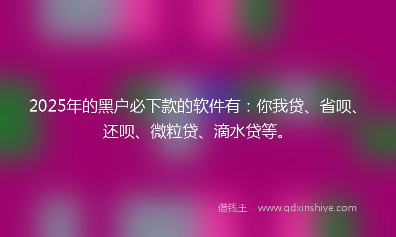 2025年的黑户必下款的软件有：你我贷、省呗、还呗、微粒贷、滴水贷等。