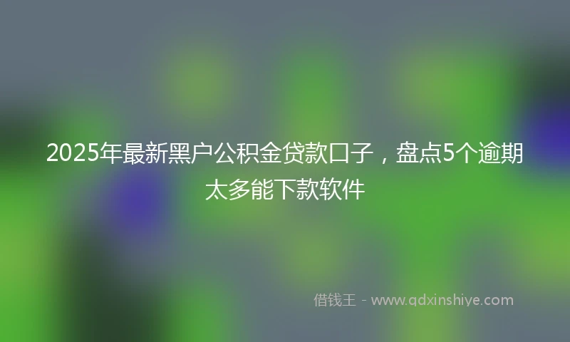 2025年最新黑户公积金贷款口子,盘点5个逾期太多能下款软件
