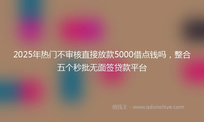 2025年热门不审核直接放款5000借点钱吗,整合五个秒批无面签贷款平台