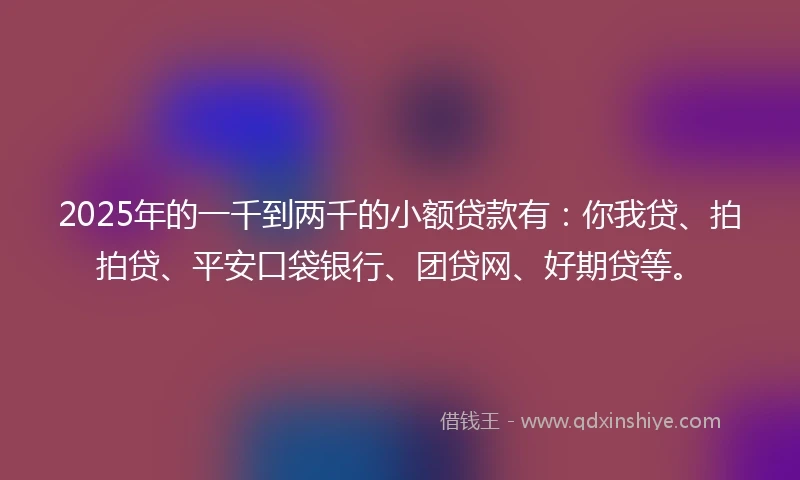 2025年的一千到两千的小额贷款有：你我贷、拍拍贷、平安口袋银行、团贷网、好期贷等。